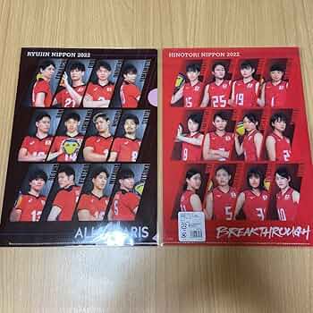 龍神NIPPON 直筆サイン入りファイル ぬいぐるみ クッション 石川祐希 龍神NIPPON 直筆サイン入りファイル ぬいぐるみ クッション 石川祐希